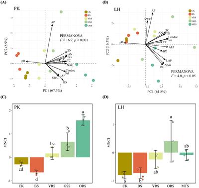 Key microbial taxa play essential roles in maintaining soil muti-nutrient cycling following an extreme drought event in ecological buffer zones along the Yangtze River